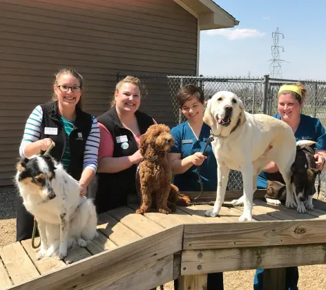 dogs and staff on a doggie ramp
